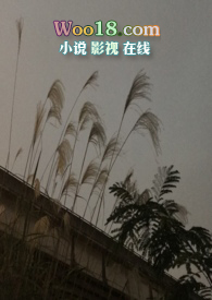 隐秘的兔仙全集